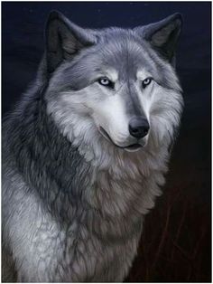 Fantasy Wolf Picture - Image Abyss
