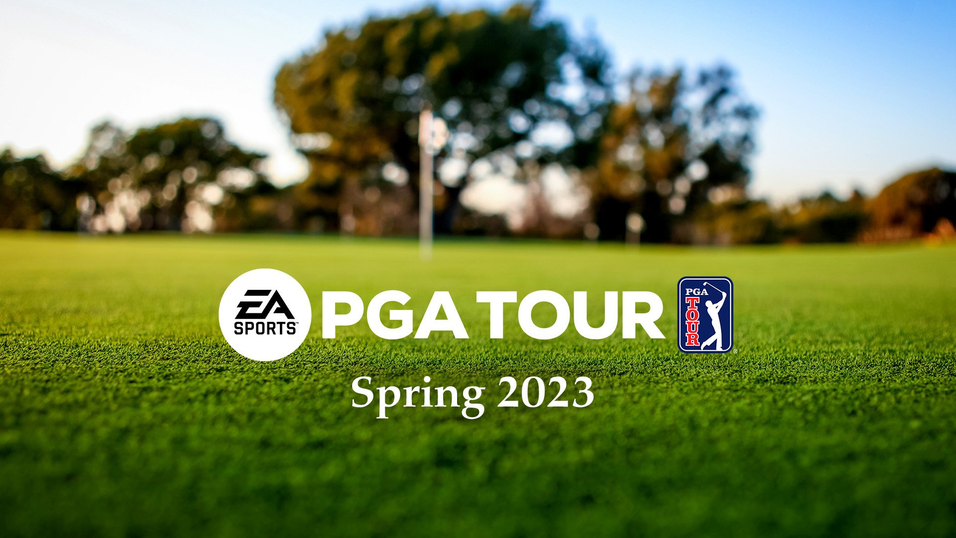 EA Sports PGA Tour Picture