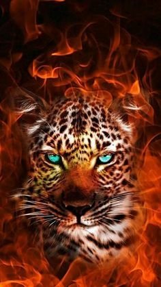 Download Fantasy Leopard Image