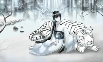 Preview Image 543681