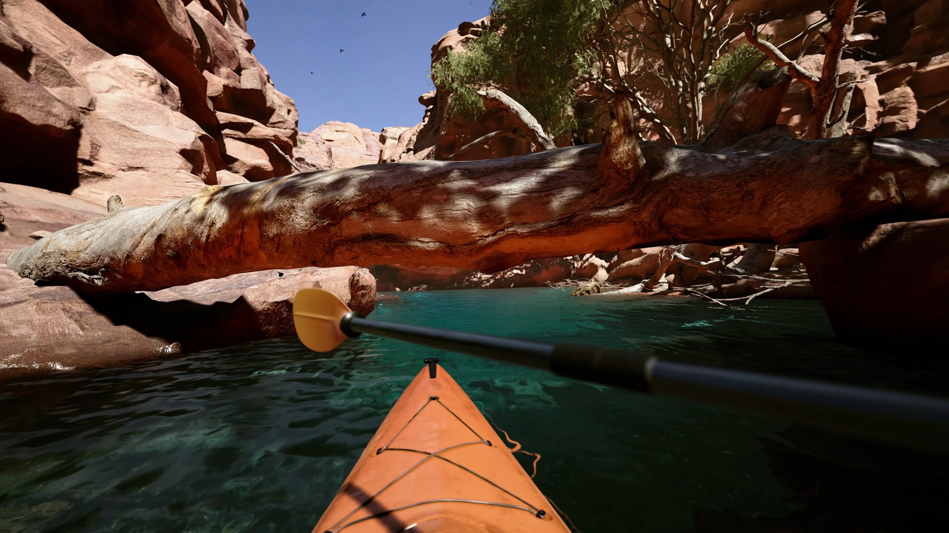 Kayak VR: Mirage Picture