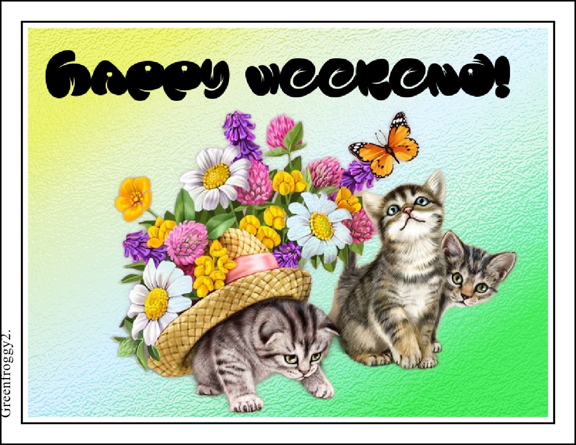  HAPPY WEEKEND