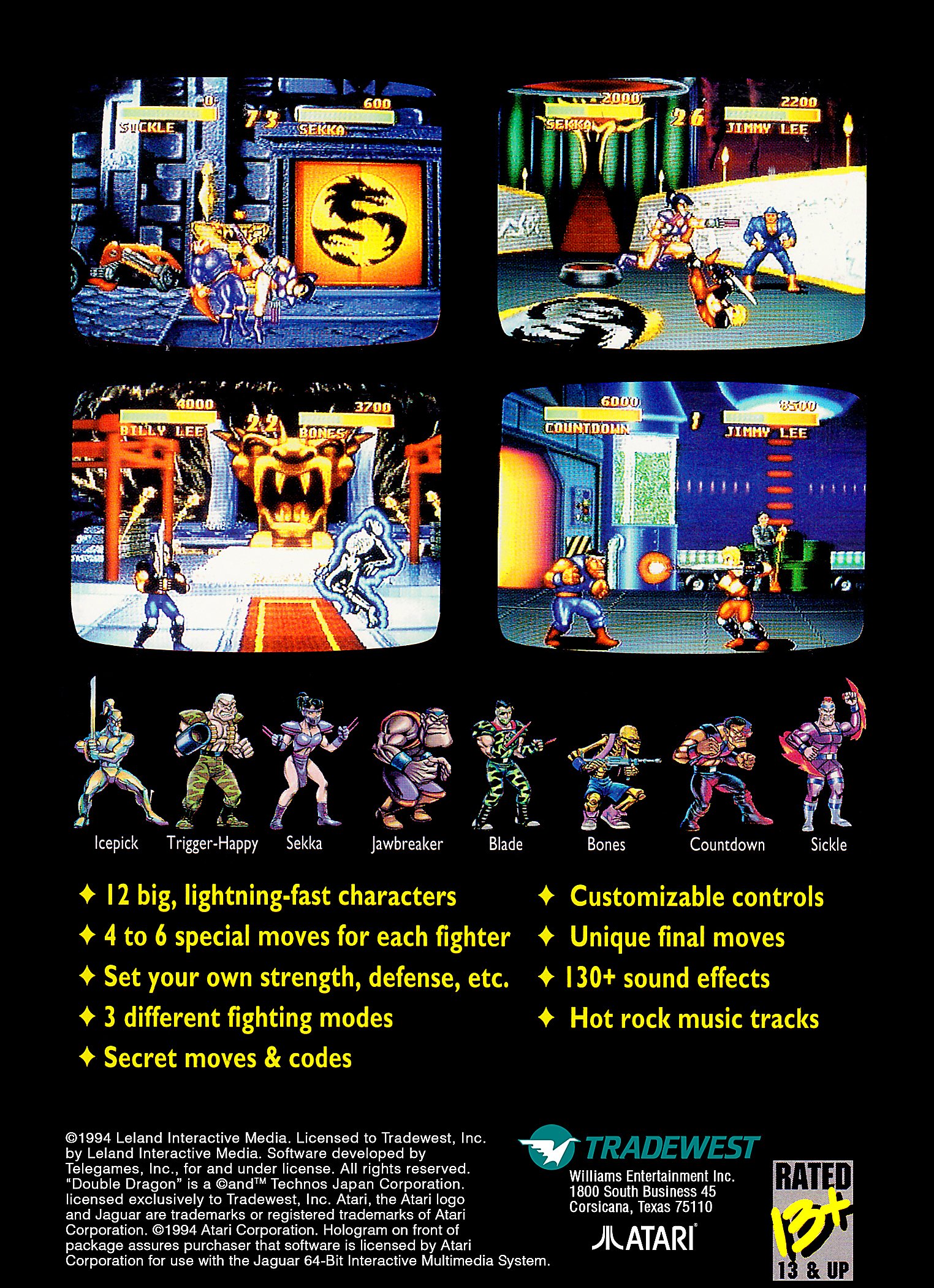 video game Double Dragon V: The Shadow Falls Image