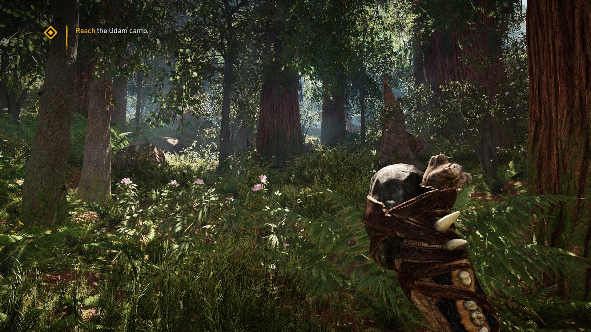 video game Far Cry Primal Image