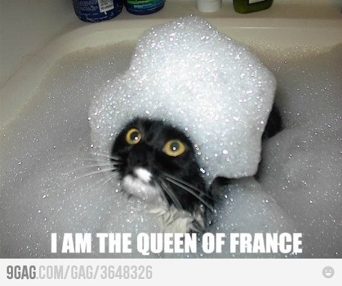 A black cat in a bubbly bath with foam shaped like a wig on its head, humorously declaring, I AM THE QUEEN OF FRANCE.