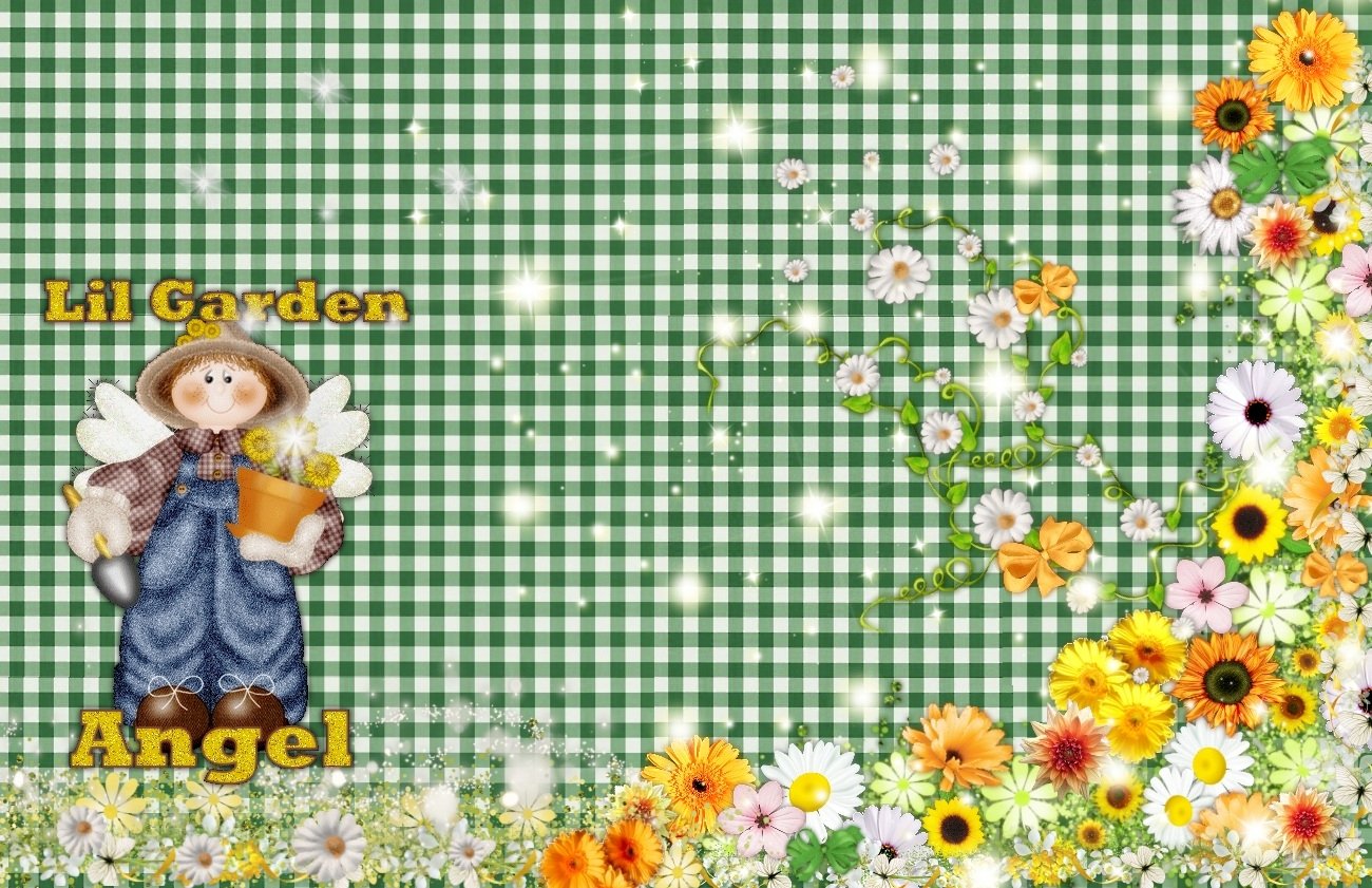  Angel's Garden