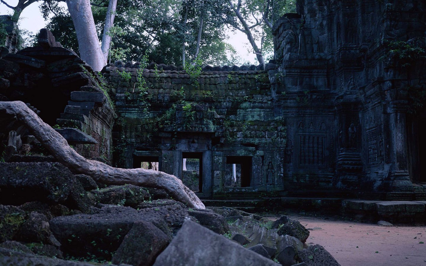 religious buddhism Image