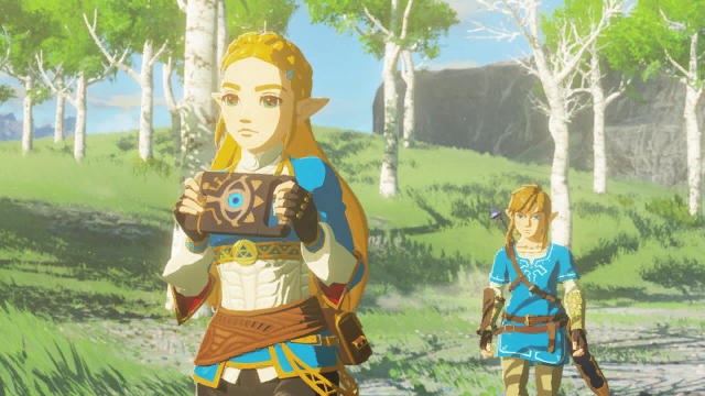 The Legend of Zelda: Breath of the Wild Image