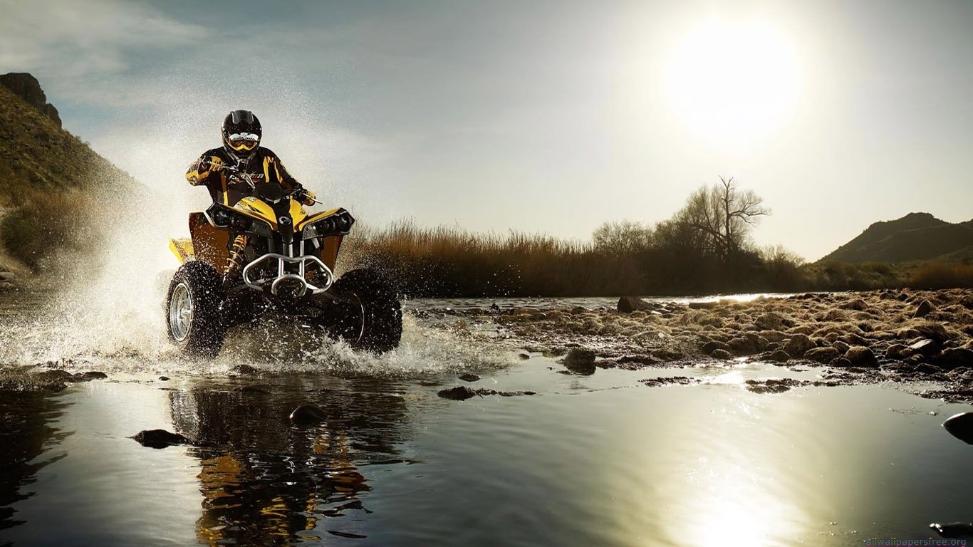 vehicle Can-Am Image