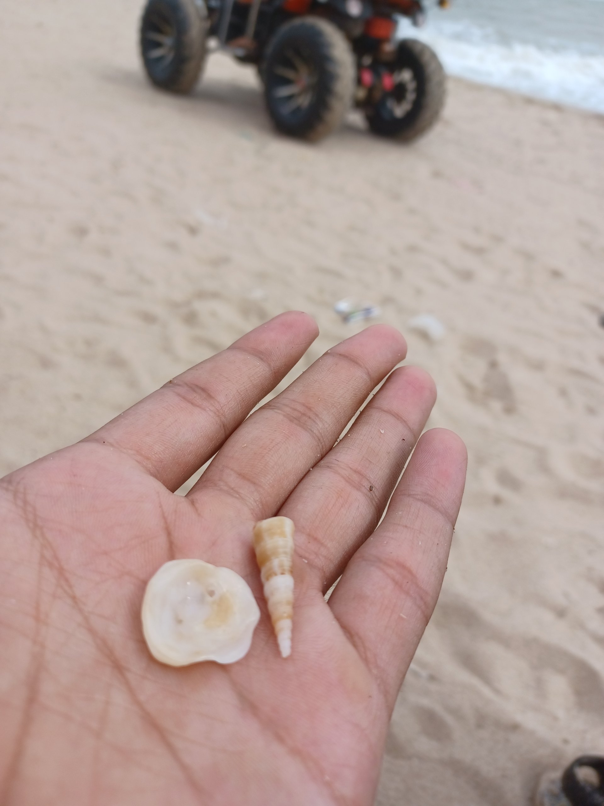  Shells