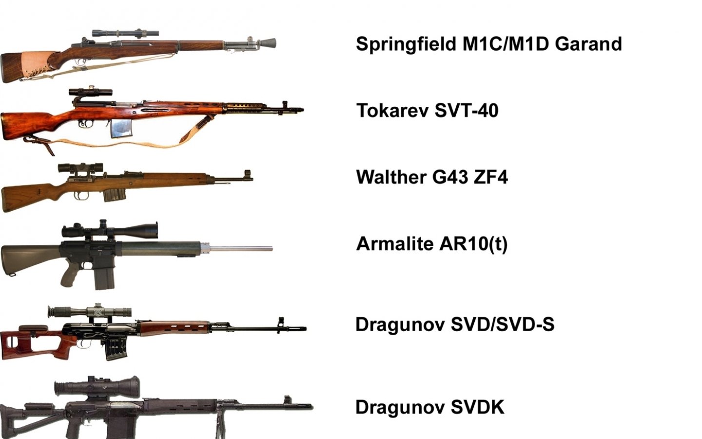 A collection of various man-made sniper rifles, including the Springfield M1C/M1D Garand, Tokarev SVT-40, Walther G43 ZF4, Armalite AR10(t), and Dragunov models.