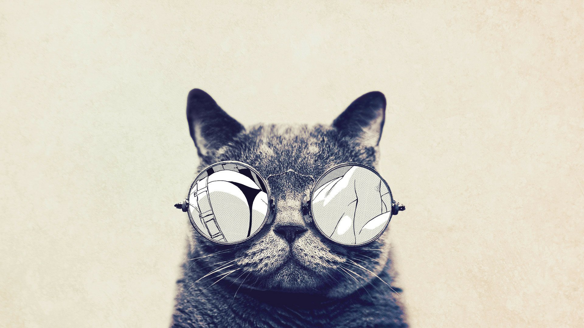glasses funny cat Image