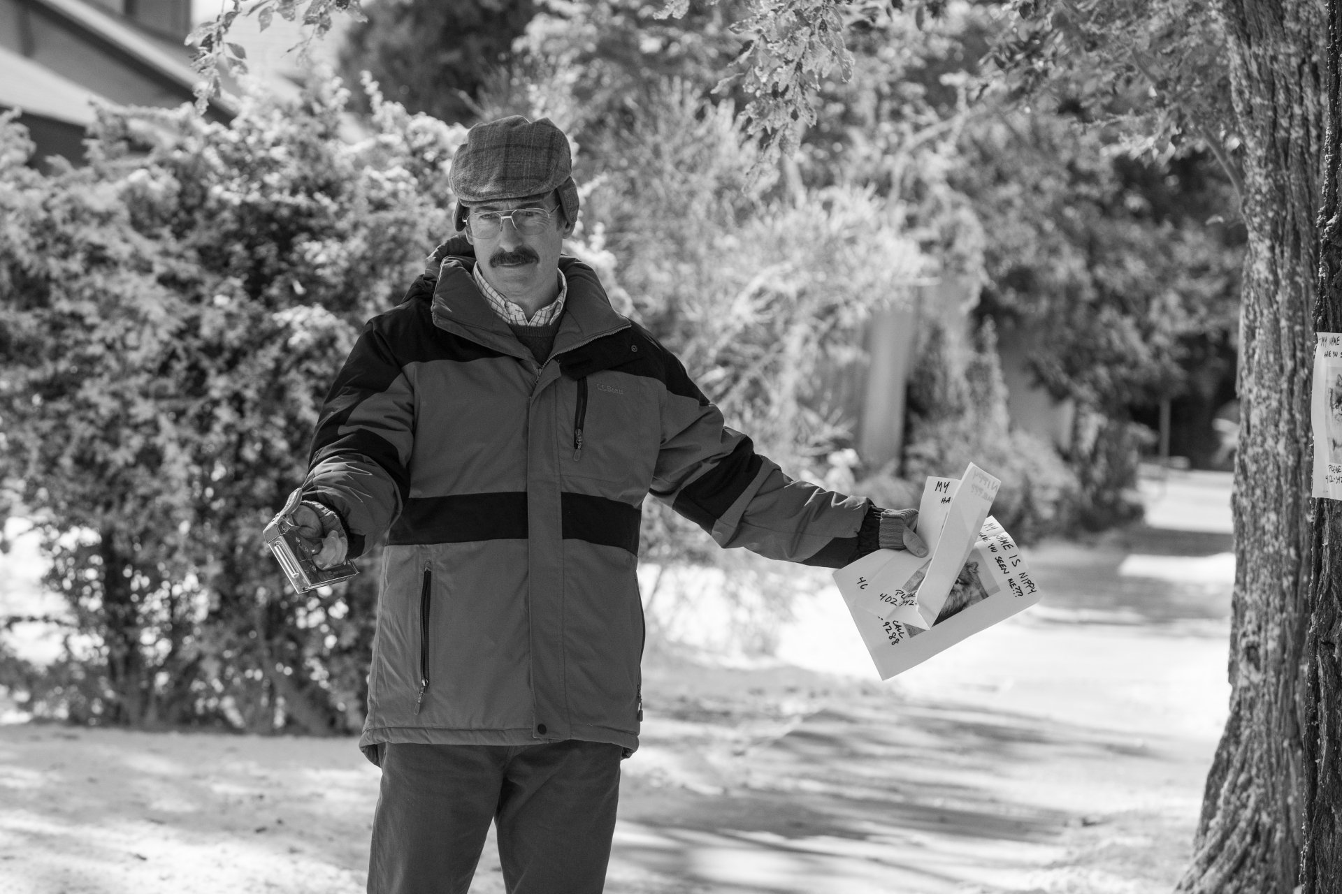 TV Show Beter Call Saul Image