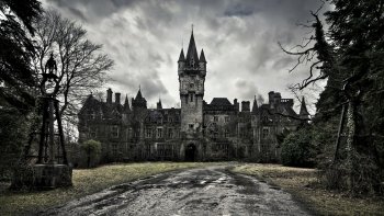Preview Image 553765