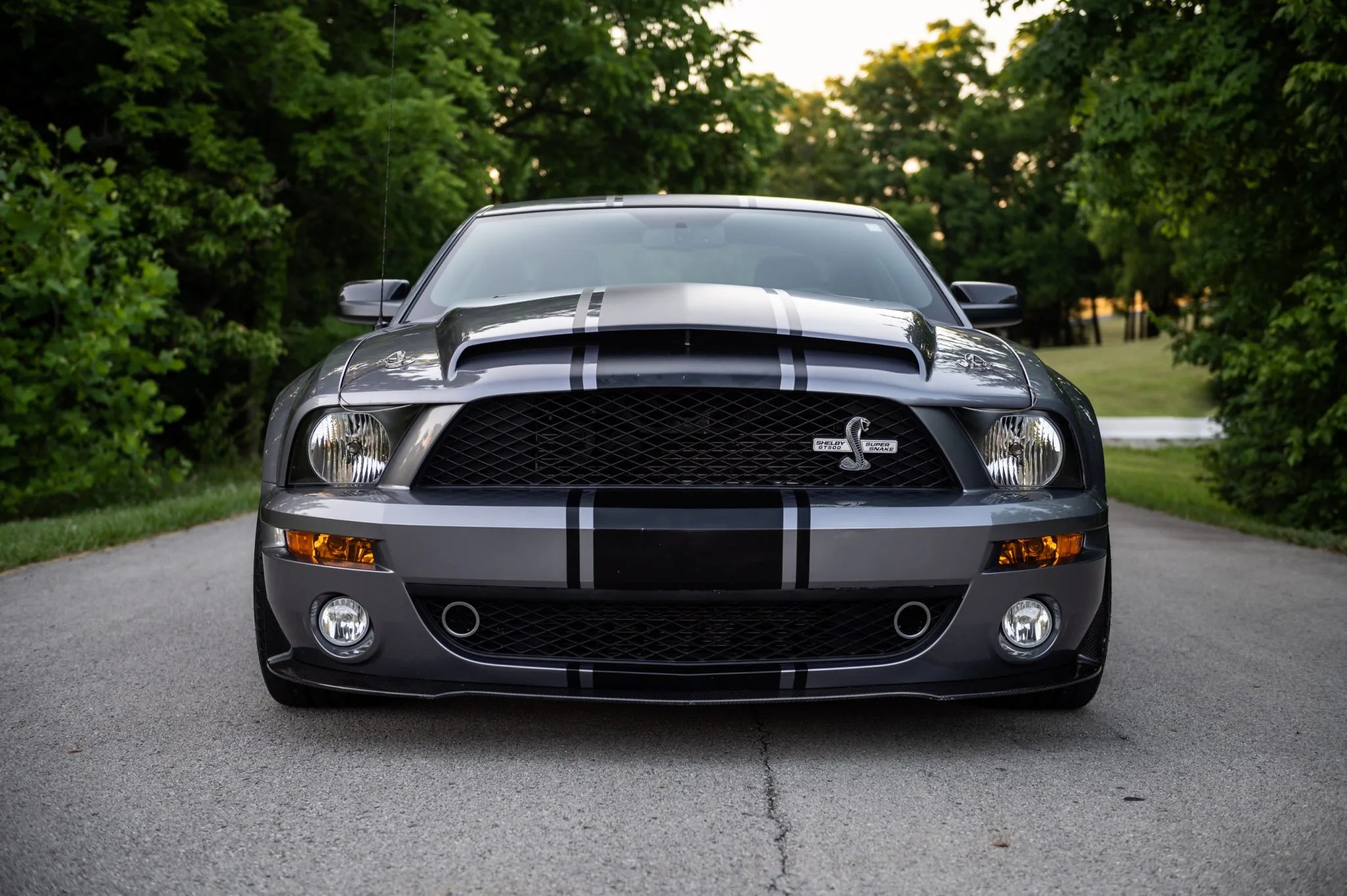 Ford Mustang Shelby gt500 super Snake 2007