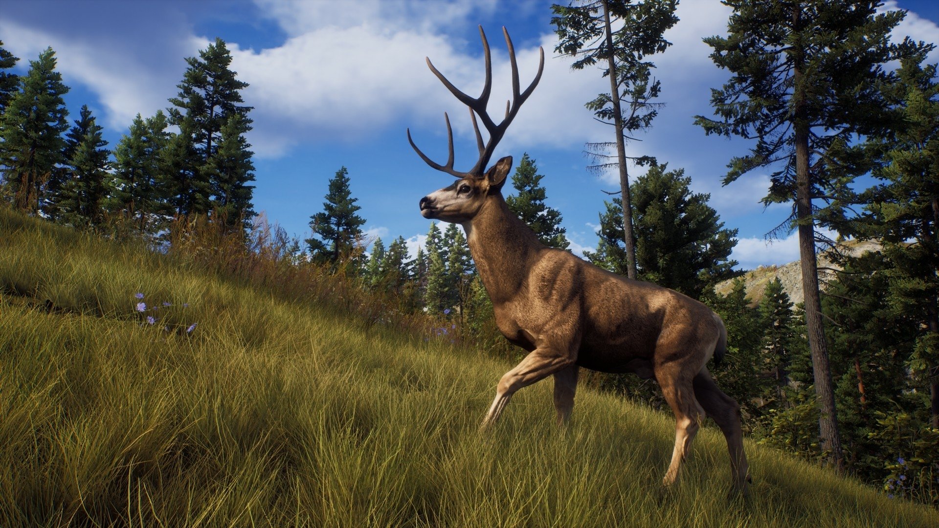 video game Way of the Hunter Image