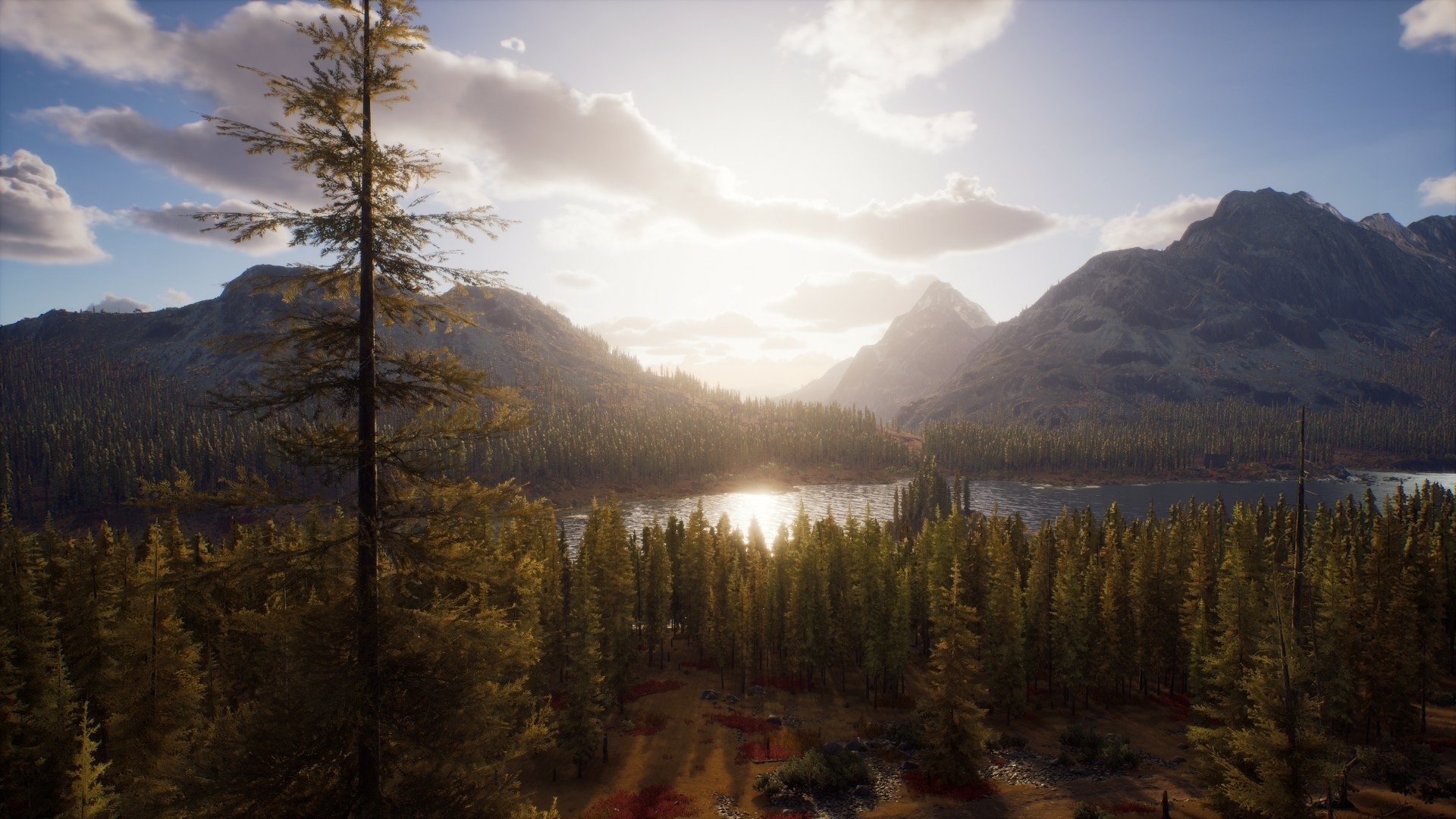 video game Way of the Hunter Image