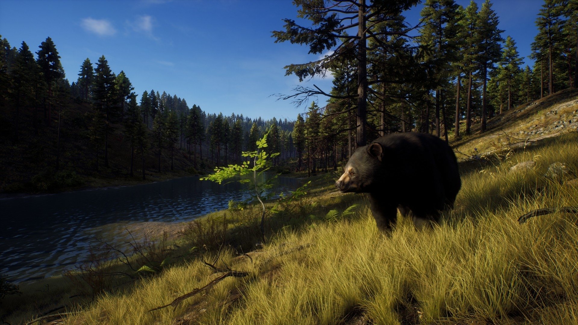 video game Way of the Hunter Image