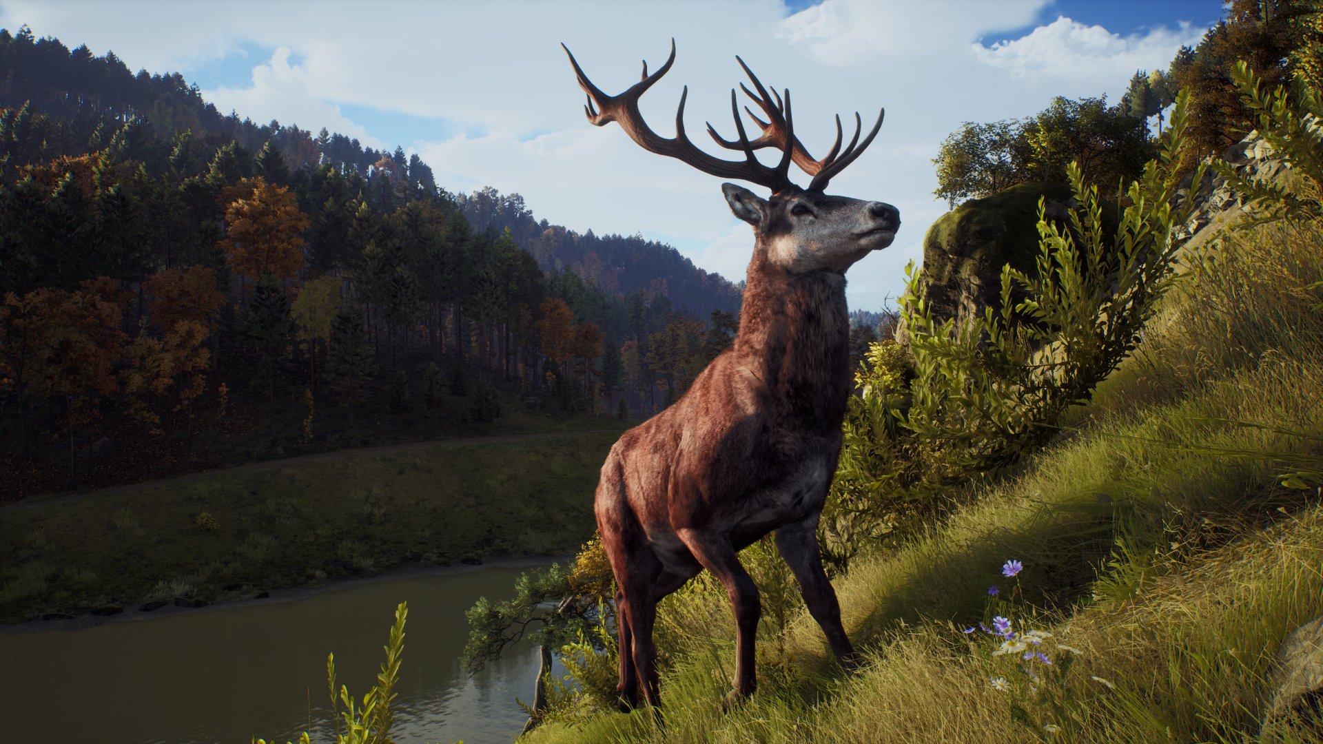 video game Way of the Hunter Image