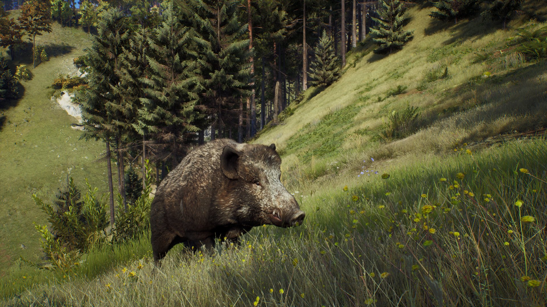 video game Way of the Hunter Image