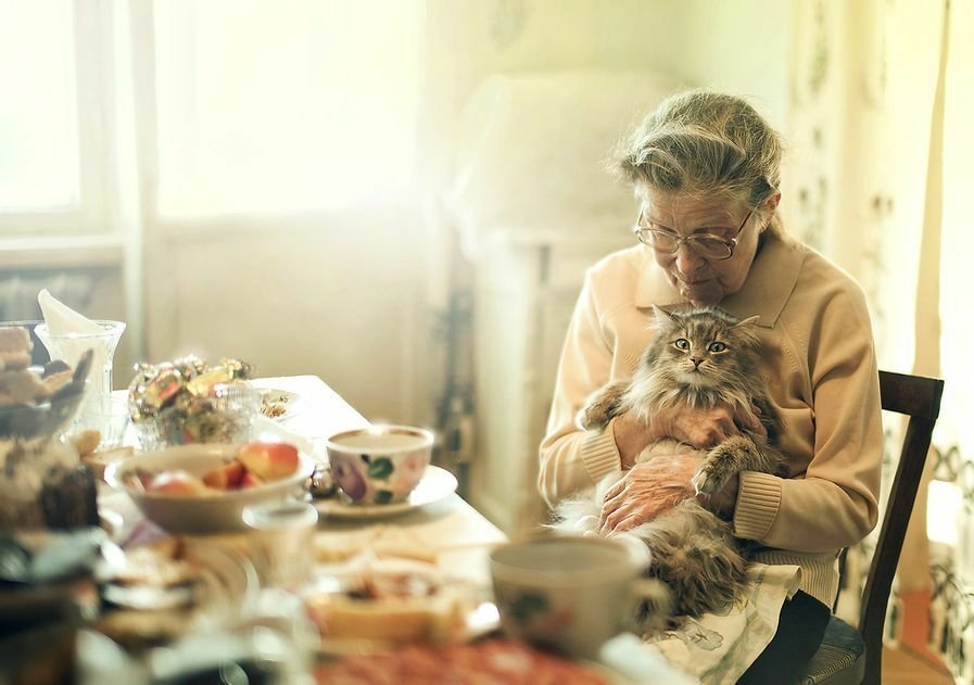 An elderly woman sits at a table filled with food, gently cradling a fluffy cat in her arms, enveloped in warm light.