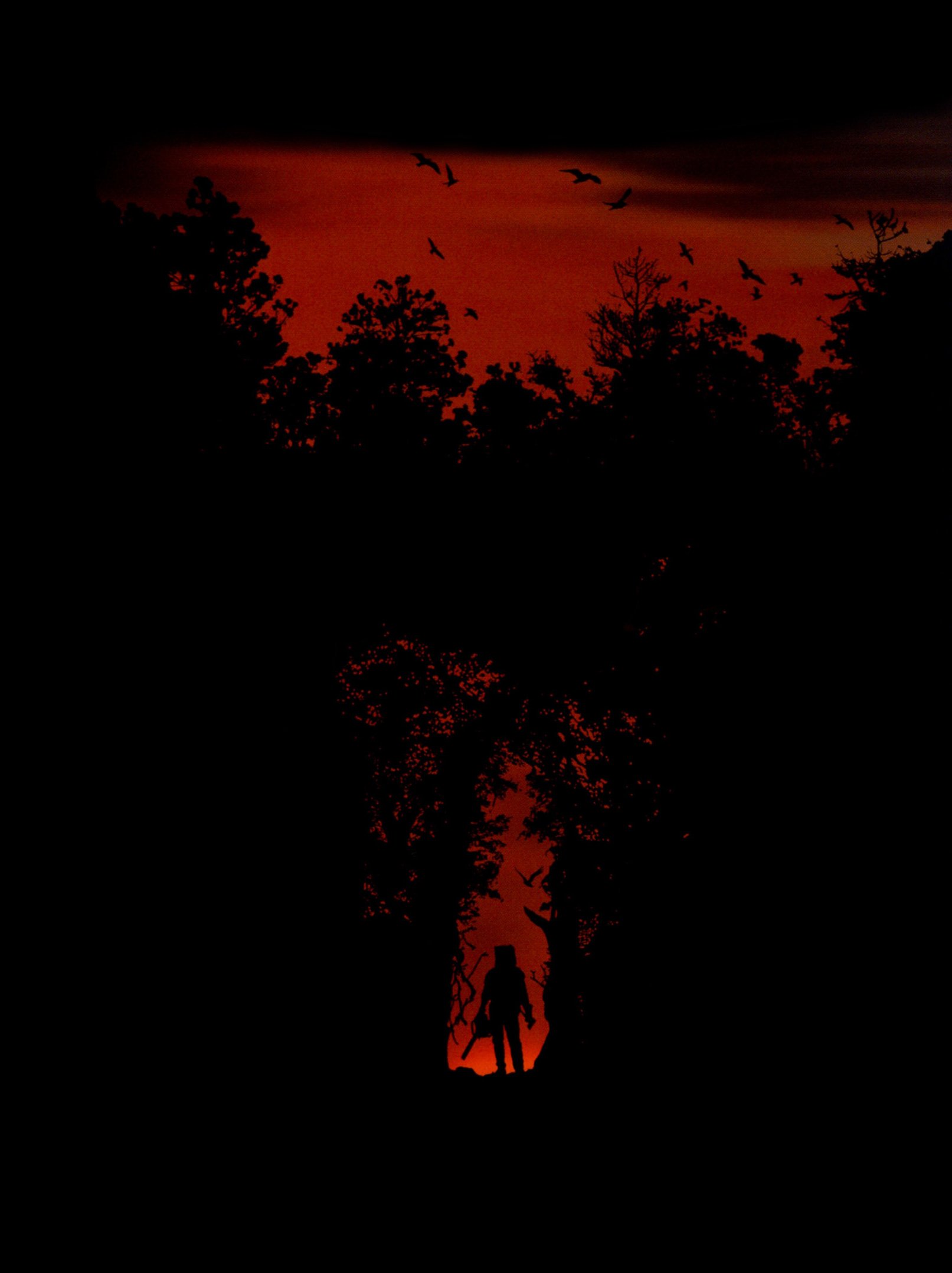  Resident evil 4 (2005) - GameCube Cover Poster