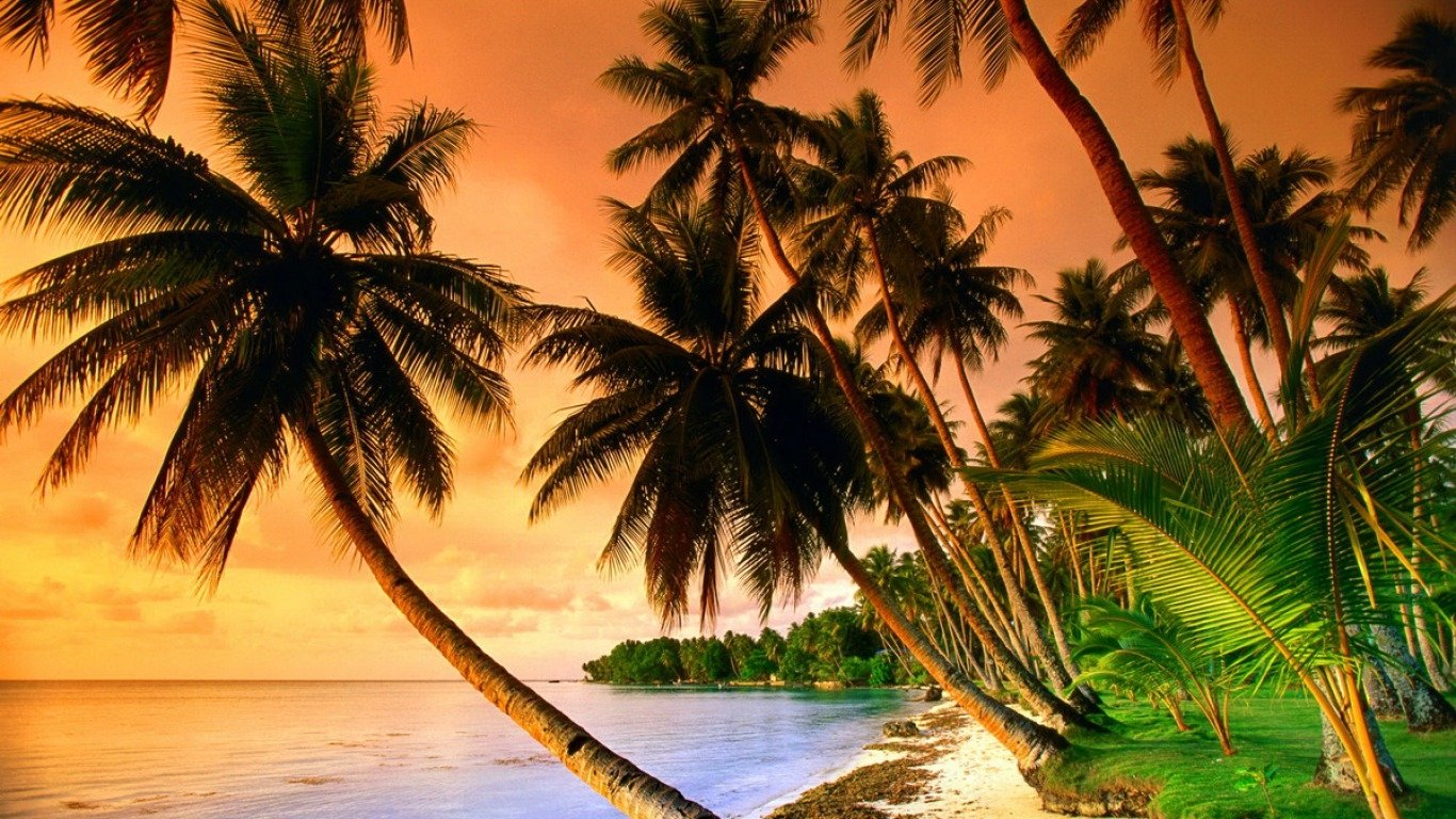 A vibrant sunset over a tropical beach, with palm trees lining the shore and the ocean glistening under the warm, golden light of the evening.