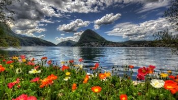 Preview Image 559571