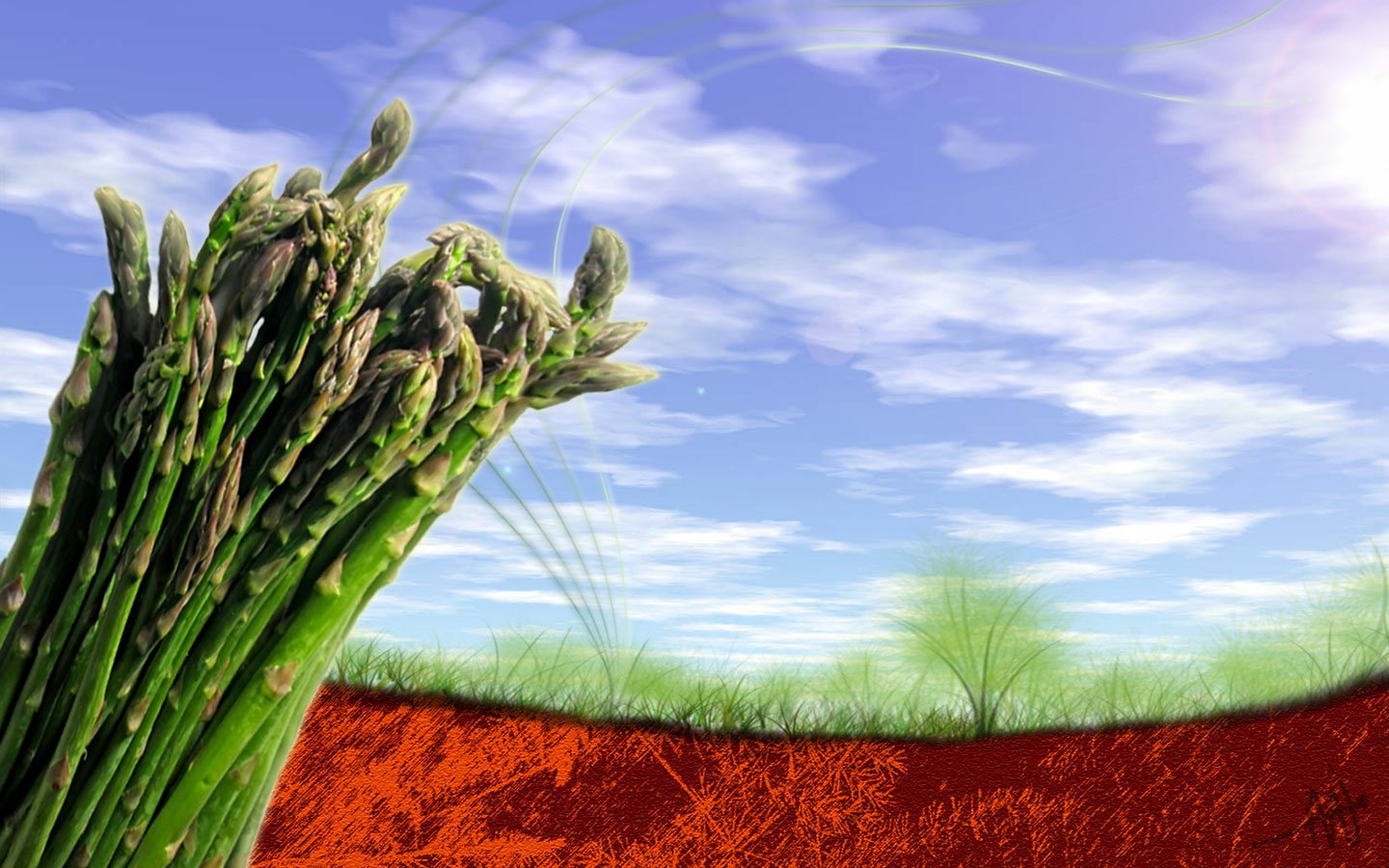 food asparagus Image
