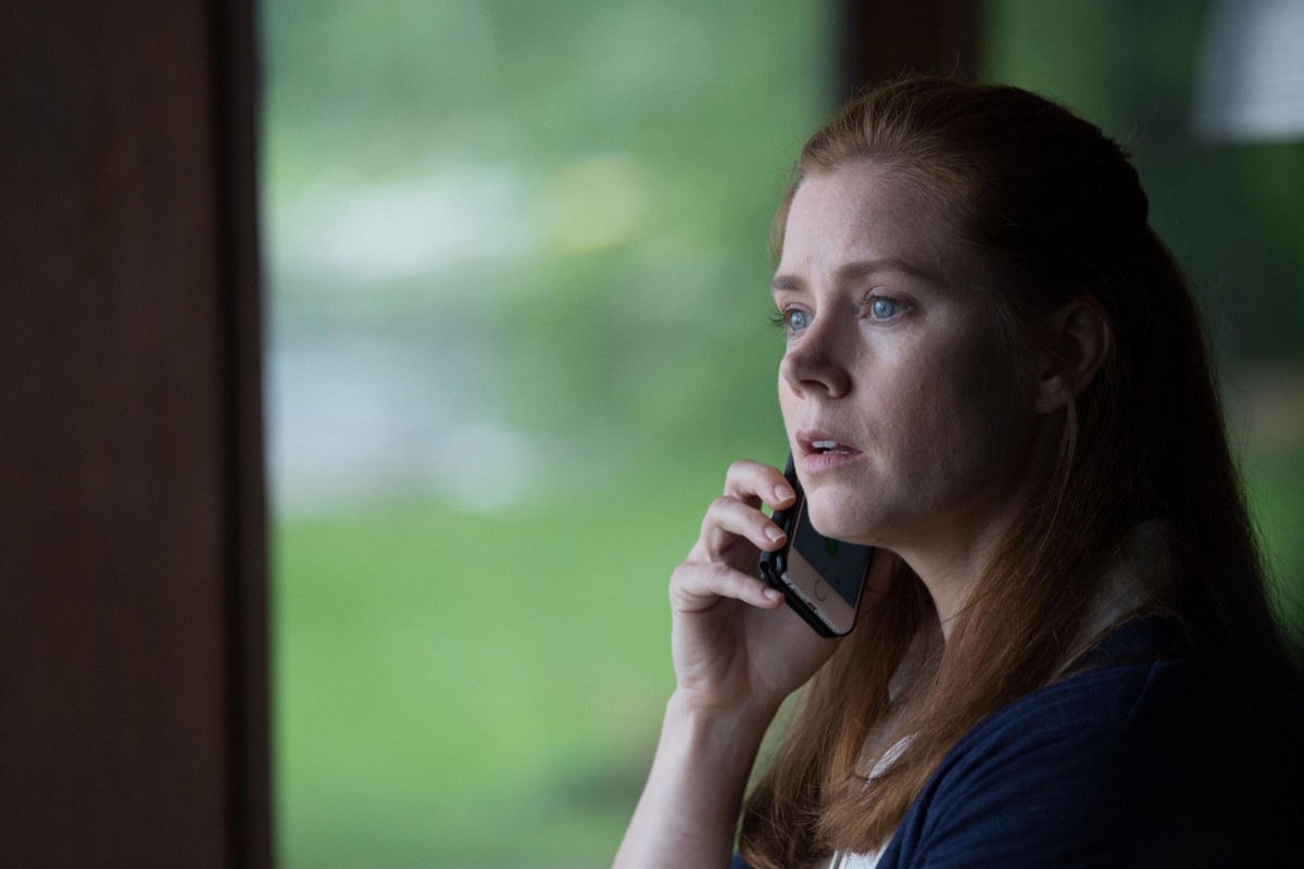 Amy Adams Picture - Image Abyss