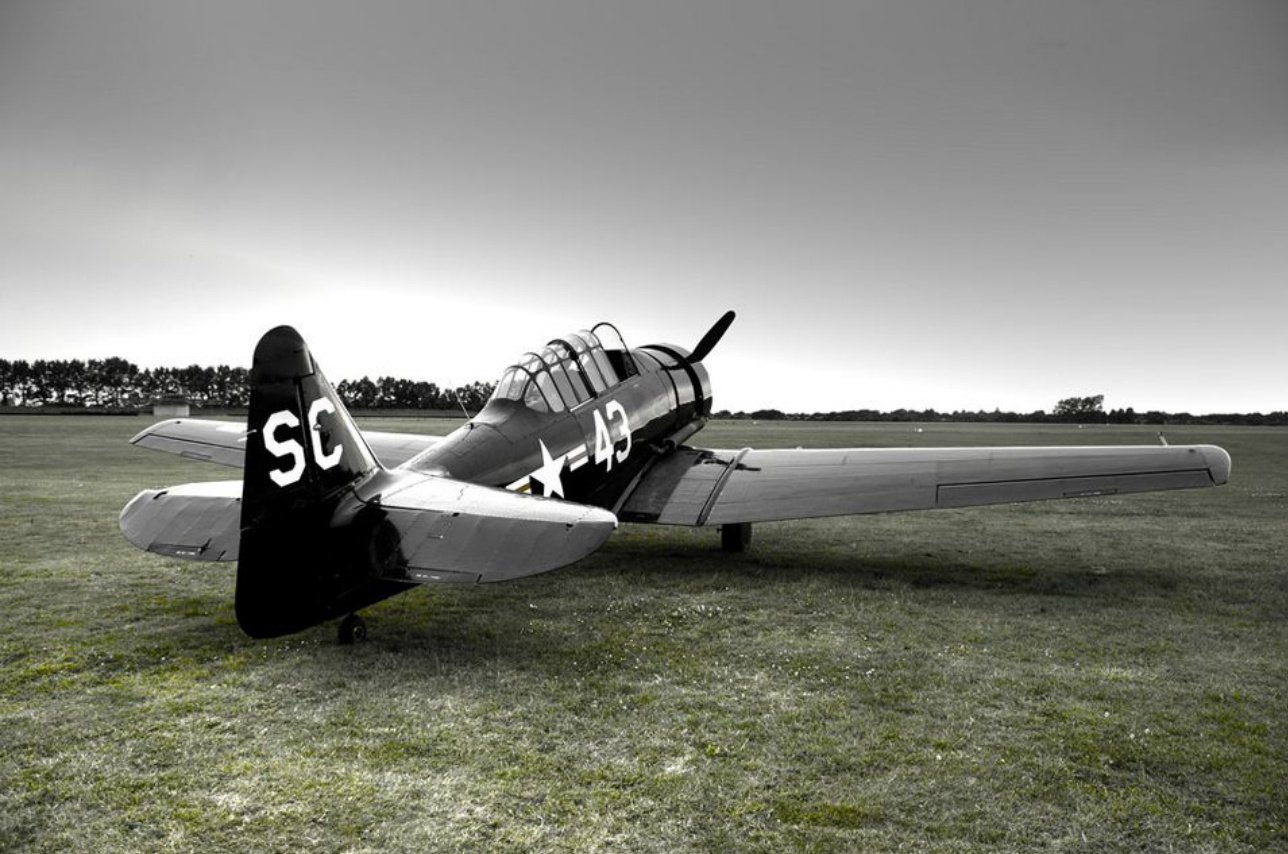 A vintage airplane sits on a grassy field, showcasing its distinctive black and white design with markings on the tail and wing, exuding a sense of nostalgia for aviation enthusiasts.