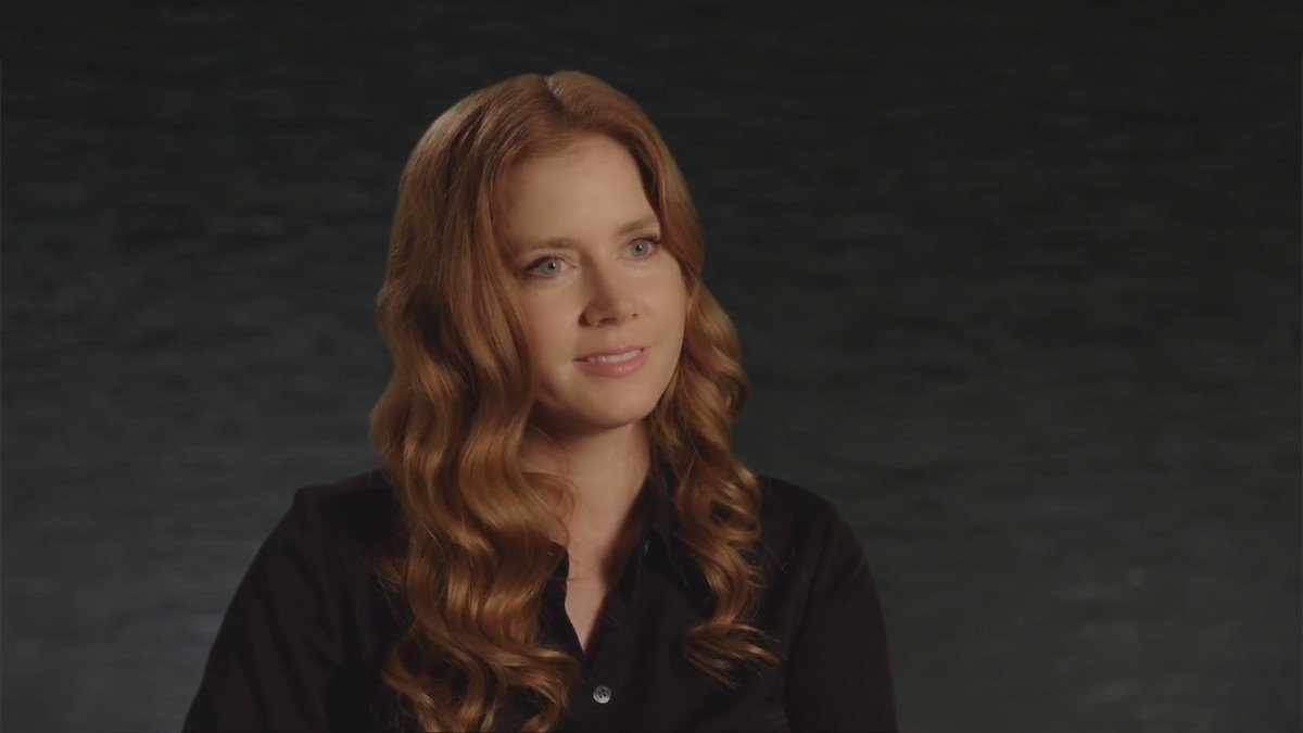 Celebrity Amy Adams Image