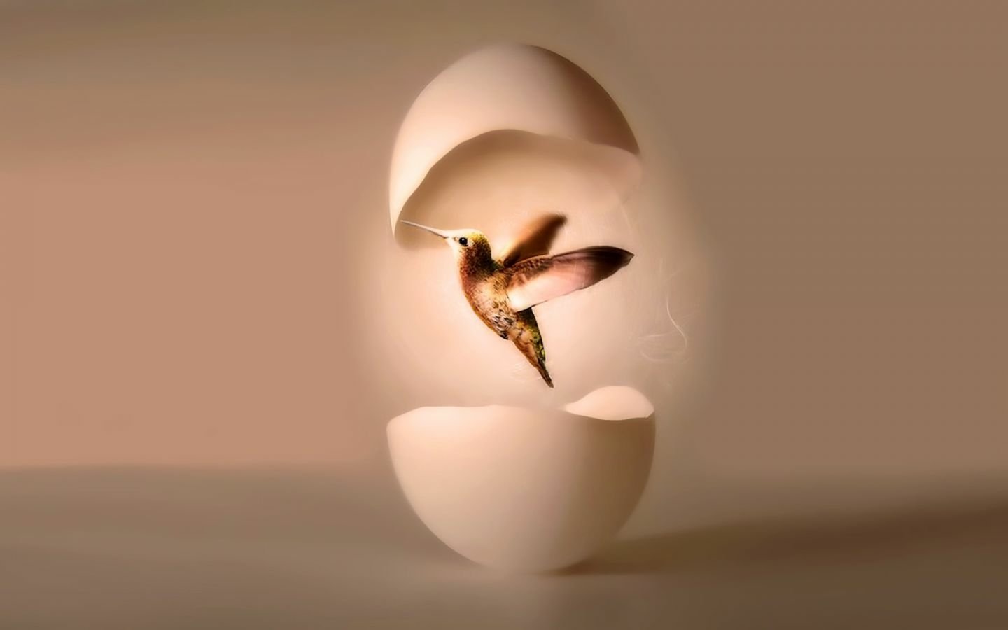 A hummingbird (bird, animal) hovers as it emerges from a cracked eggshell suspended between two halves against a soft beige background.