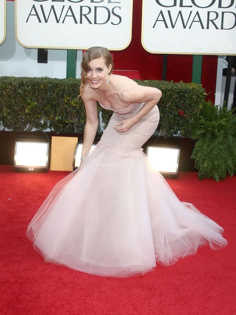 Celebrity Amy Adams Image