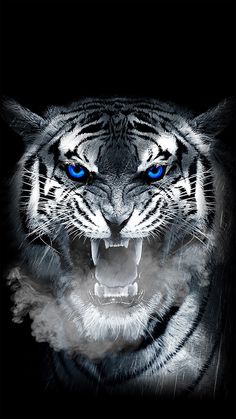 Fantasy Tiger Picture