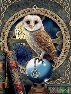 Fantasy owl Picture