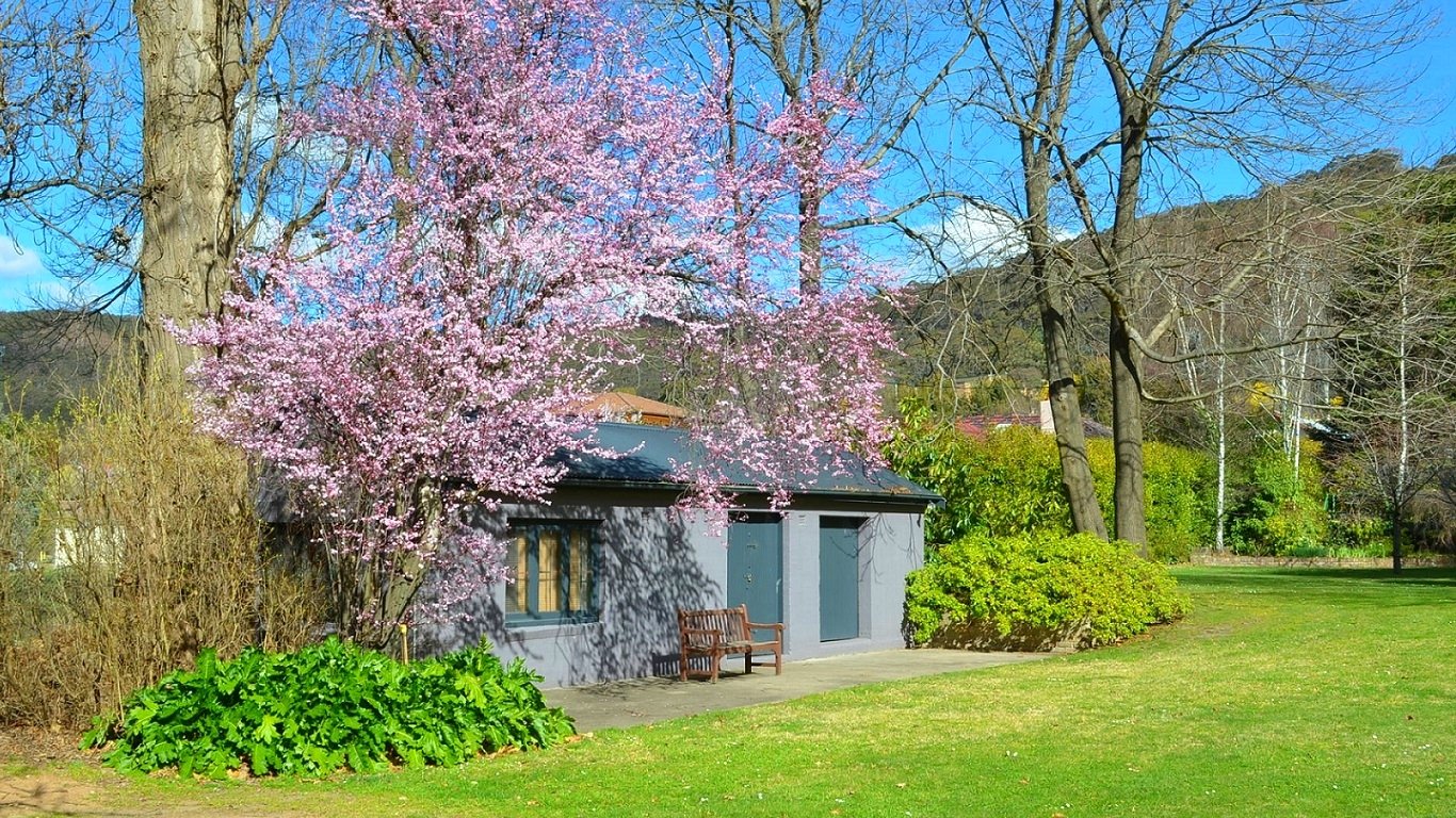 A blossoming tree stands next to a bench and small building in a lush green area in Lithgow, Australia, with hills and clear blue sky in the background.