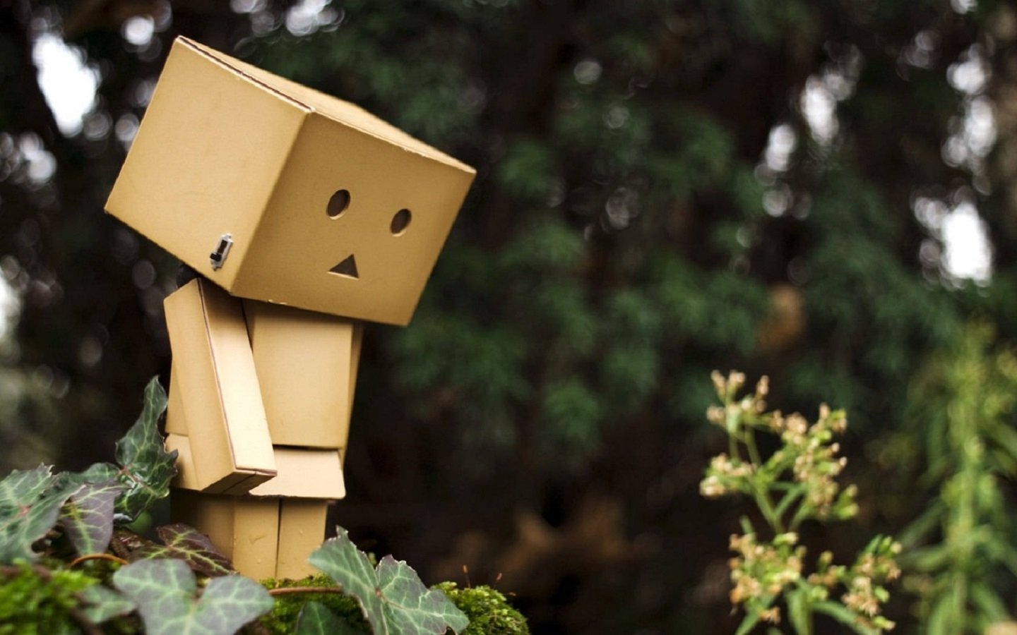 Download Misc Danbo Image