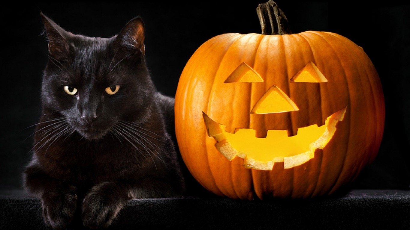 A black cat sits beside a carved pumpkin with a cheerful face, set against a dark background, embodying the spirit of Halloween.