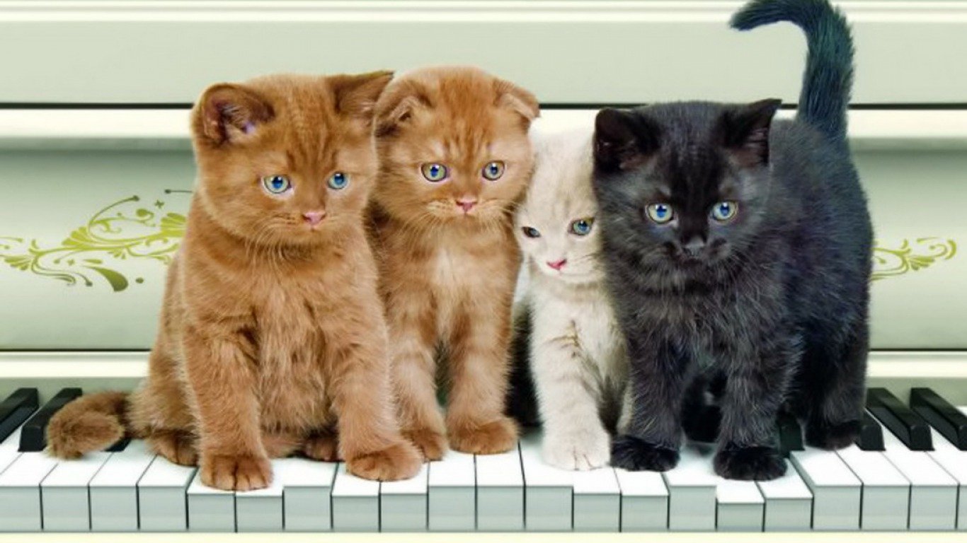Four playful kittens—two ginger, one cream, and one black—gather on a piano's keys, creating a charming scene filled with feline curiosity and whimsy.