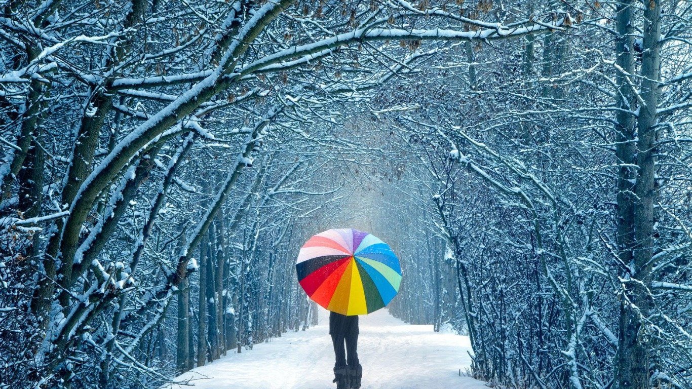 A person walks down a snowy path, holding a vibrant, multicolored umbrella. The scene is framed by frosty trees, creating a serene winter atmosphere.