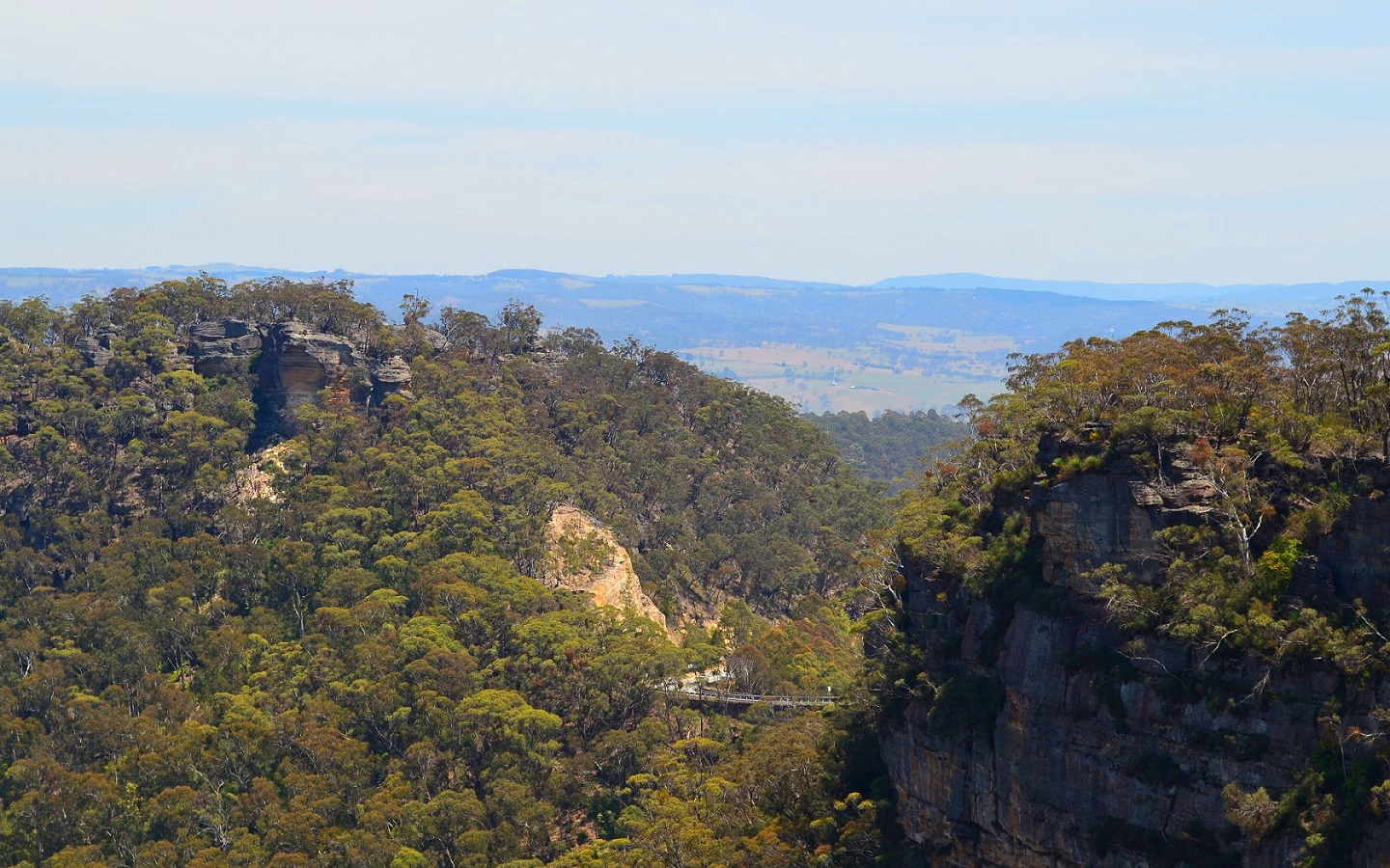 The View From Mount Boyce Lookout, Blue Mountains, NSW Australia by lonewolf6738