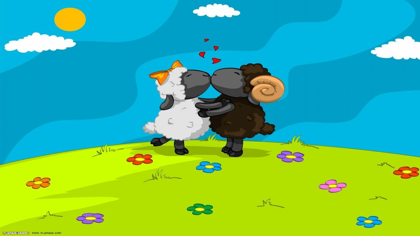 Animal sheep Image