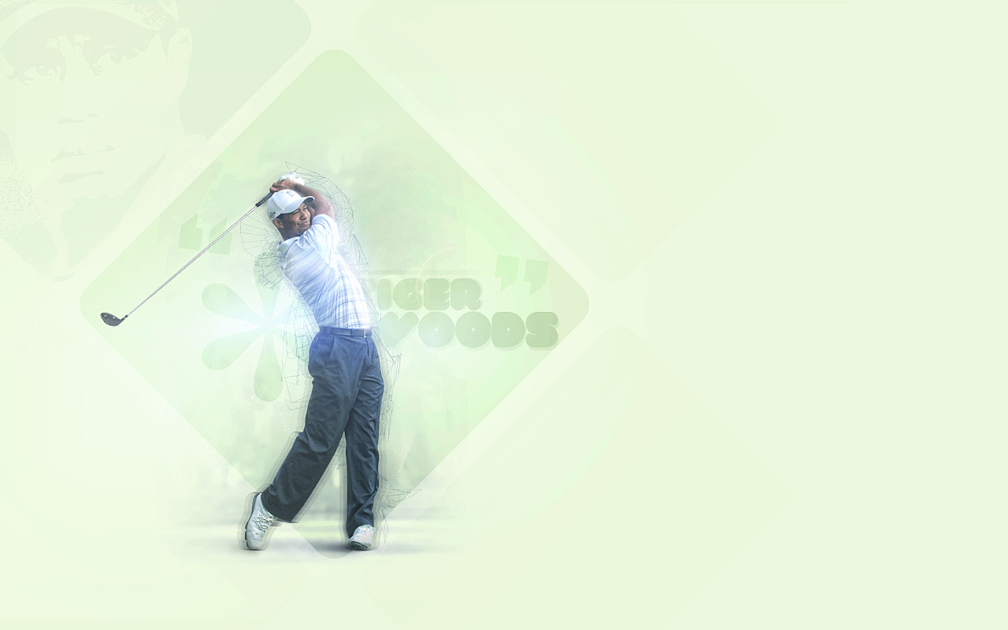 tiger woods Picture