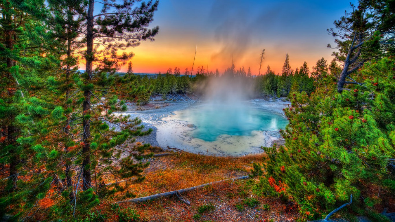 yellowstone national park Picture
