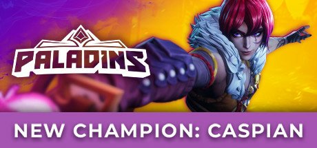video game Paladins Image
