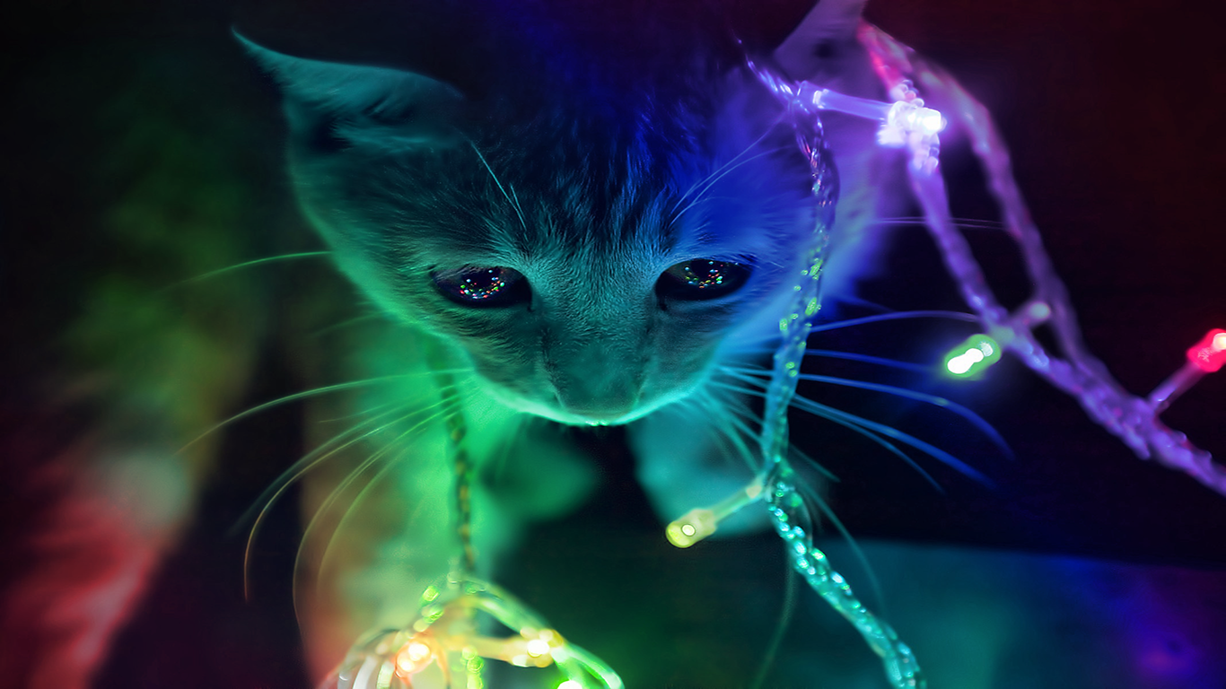 A playful kitten is wrapped in colorful Christmas lights, creating a whimsical scene filled with vibrant hues and holiday cheer.