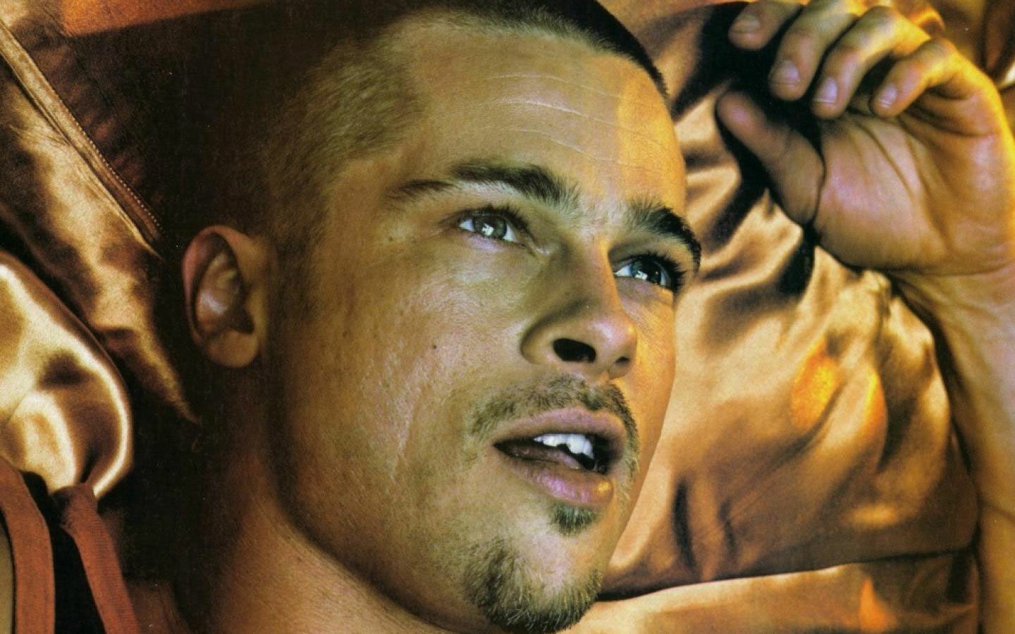 Celebrity Brad Pitt Image