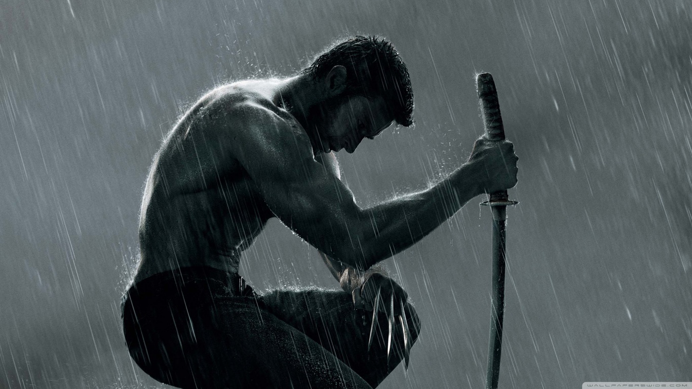 The Wolverine Picture