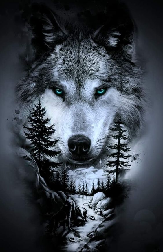Fantasy Wolf Picture